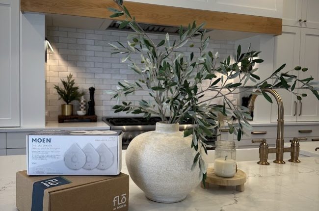 Flo By Moen Sherwood Oregon